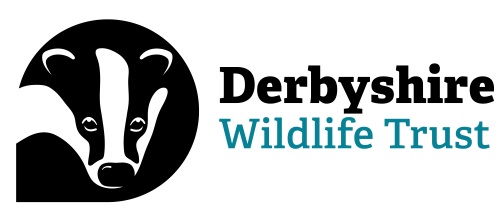 derbyshire wildlife trust logo